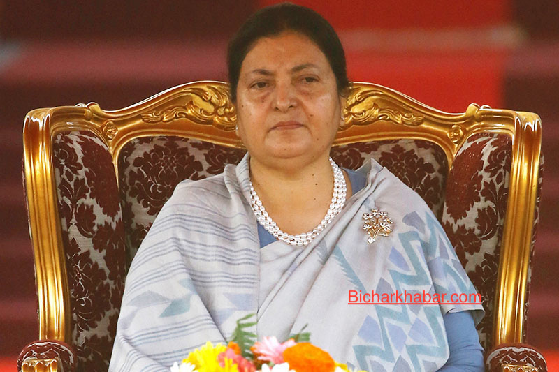 ओलीप्रति लक्षित गर्दै विद्याले भनिन्, ‘एमालेजनसँग भेटघाट गर्न कसैको अनुमति लिइरहनुपर्दैन’