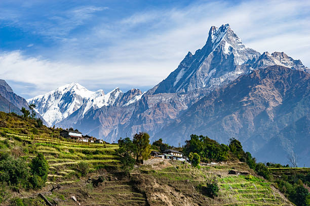 एकैदिन एकसय ३५ आरोही सगरमाथा शिखरमा